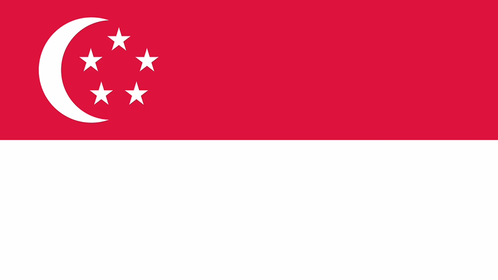 新加坡国旗